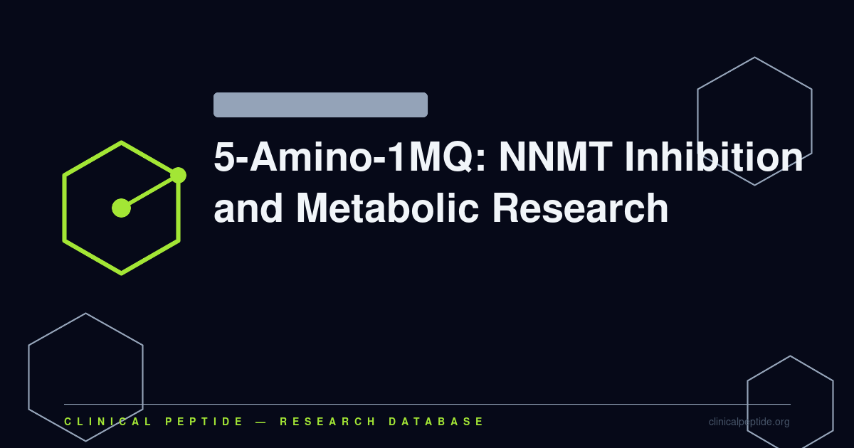 Hexagonal geometric diagram representing 5-Amino-1MQ NNMT inhibitor and metabolic research findings.