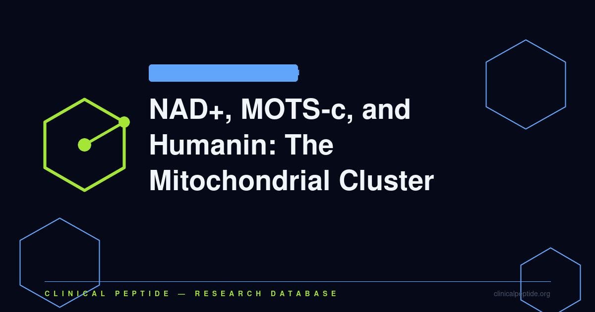 Abstract mitochondrial network motif representing NAD+, MOTS-c, and Humanin mitochondria-derived peptide cluster research.